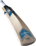 Gunn & Moore Gunn and Moore Catalyst 101 Cricket Bat - Size 5