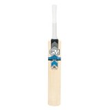 Gunn & Moore GUNN and MOORE Catalyst 303 Junior Cricket Bat , 4