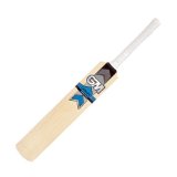 Gunn and Moore Catalyst Original Cricket Bat (Short Handle,2lb 9oz)
