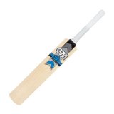 Gunn & Moore Gunn and Moore Catalyst Original LE Cricket Bat (Short Handle,2lb 10oz)