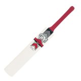 Gunn & Moore Gunn and Moore Purist II 505 Cricket Bat (Short Handle,2lb 14oz)