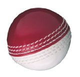 Gunn & Moore GUNN and MOORE Steve Harmison Skills Cricket Ball , WHITE, SENIOR