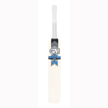 GUNN and MOORE CATALYST 303 CRICKET BAT