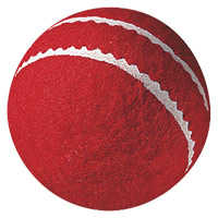 gunn and moore First Cricket Ball.
