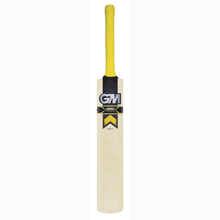 GUNN and MOORE HERO DXM 101 CRICKET BAT JNR