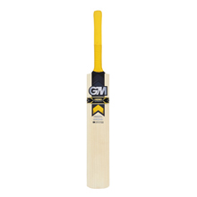 Gunn and Moore Hero DXM Original Limited Edition Cricket Bat
