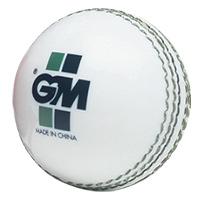Gunn and Moore Steve Harmison Skills Cricket