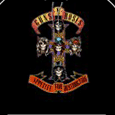 Guns N Roses Appetite For
