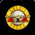 Guns N Roses Logo & Pistols Hoodie