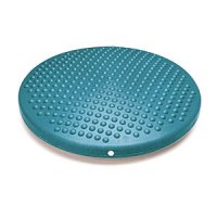 Gymnic Disc``it Wobble Cushion