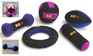 Aqua Dog Toy