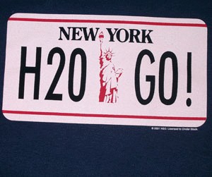H20 License Plate T Shirt