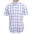 White and Blue Check Short Sleeve Shirt