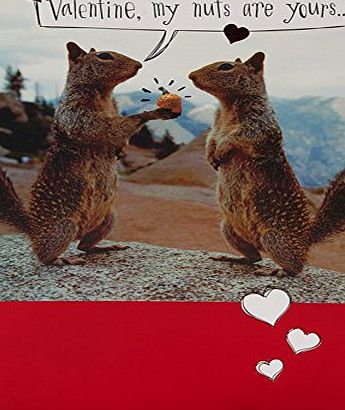 Hallmark Valentines Day Cute Foiled Decoration Card - Medium