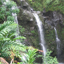 HANA Adventure - Hidden Waterfalls Tour - Adult