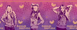 hannah montana 9.25 inch Wall Border (5 metre roll)