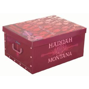 Hannah Montana Medium Card Storage Box