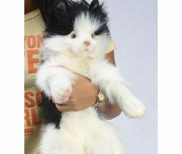 Hansa Pussy Cat Plush Soft Toy By Hansa. Black amp; White. 45cm. 4642