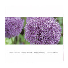 Card Purple Flowers