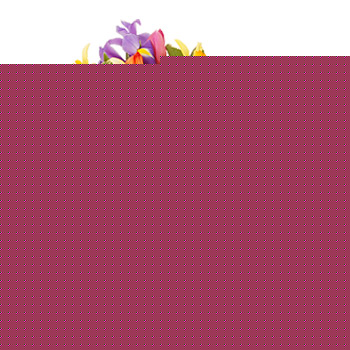 Happy Easter Gift Set - flowers