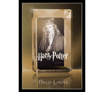 Harry Potter Paper Weight: An Original Gift Idea