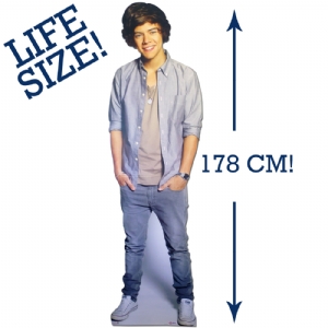 HARRY Styles Casual Life Size Cut Out