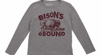 Bison t-shirt Grey `2 years,4 years,8 years,16