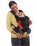 Hauck 3 Way Carrier Black