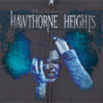 Hawthorne Heights Faces (Zip) Hoodie