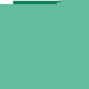 Pycnolife Plus Tablets