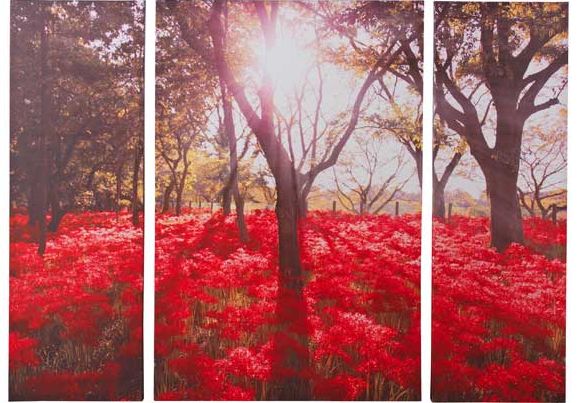 heart of house Forest Red Floral Triptych Canvas