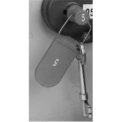 Key Pegs for Key Tracking System Blue