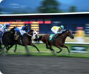 Hennessy Cognac Gold Cup 2008