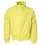 Yellow Jacket