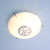 2 Light Flush Ceiling Light Satin Chrome