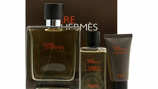 Hermes Terre DHermes Eau de Toilette Spray