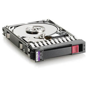 HP 492620-B21 300 GB Internal Hard Drive