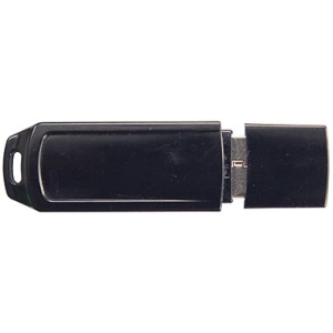 HP 608447-B21 2 GB Flash Drive