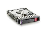 HEWLETT PACKARD HP Dual Port Enterprise - hard drive - 300 GB - SAS-2