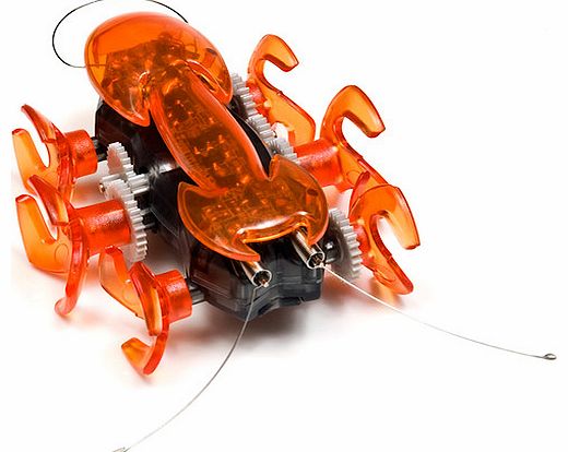 Hexbug Mechanical Hexbug Ant - Orange
