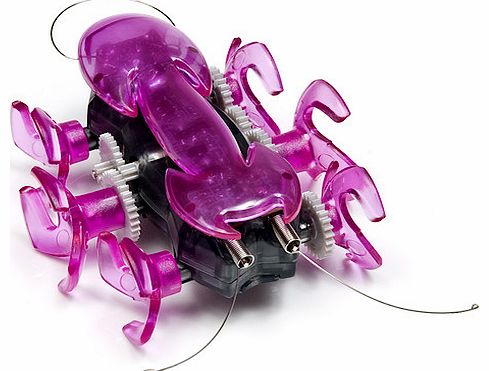 Hexbug Mechanical Hexbug Ant - Purple