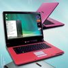 hi-grade 80Gb Pink Laptop