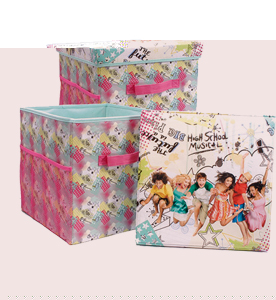 high school musical 2 `cribbles`Storage Seat Box
