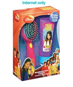 Microphone Hair Brush
