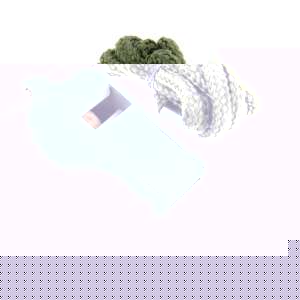 Referee Whistle and Lanyard