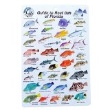 Hinchcliff Water proof Fish Species Guide to reef fish of the Florida