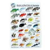 Hinchcliff Water proof Fish Species Guide to reef fish of the Micronesia