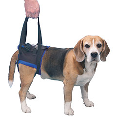 hind Walkabout Sling/Harness Large