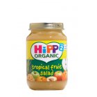 Hipp Case of 6 Hipp Tropical Fruit Salad