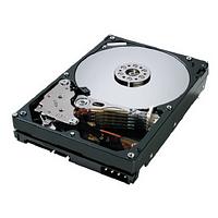 Hitachi Deskstar 0A31613 7K500 500GB 3.5 inch
